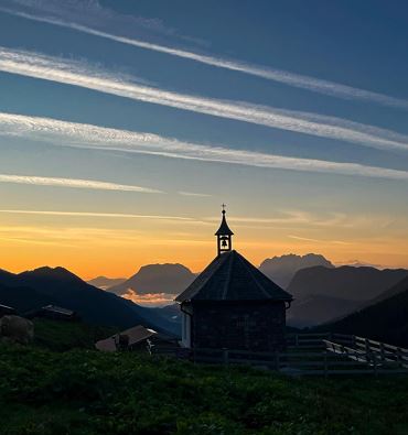 Organic Alpine Cheese Dairy Ackernalm