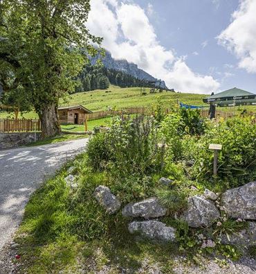 Kräutergarten Aschinger Alm Ebbs