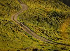 300 | Aschinger-Alm-Round