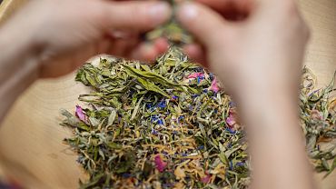 Kufsteinerland herb worlds