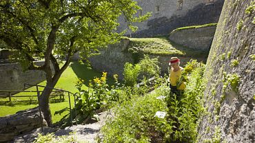 Giardino delle piante e delle erbe officinali sulla Fortezza Kufstein